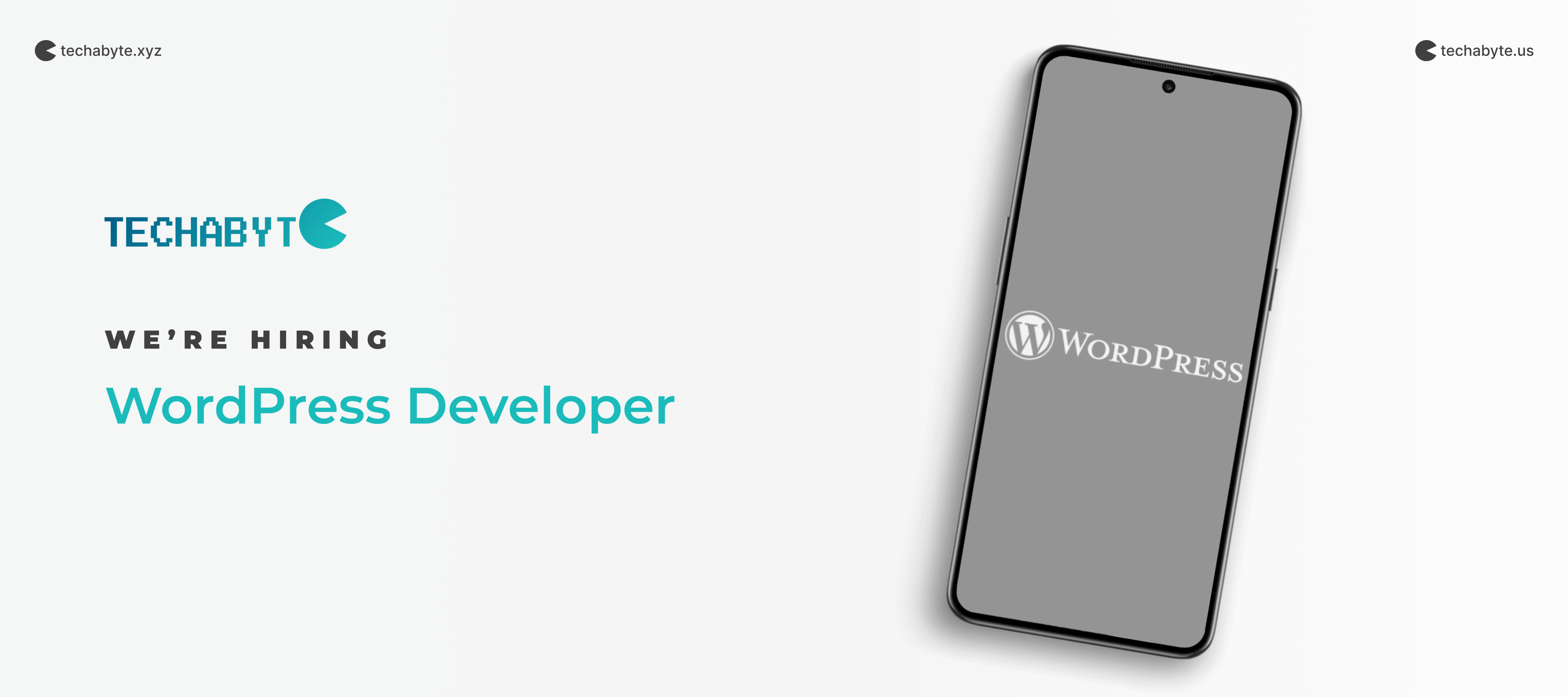 WordPress Developer