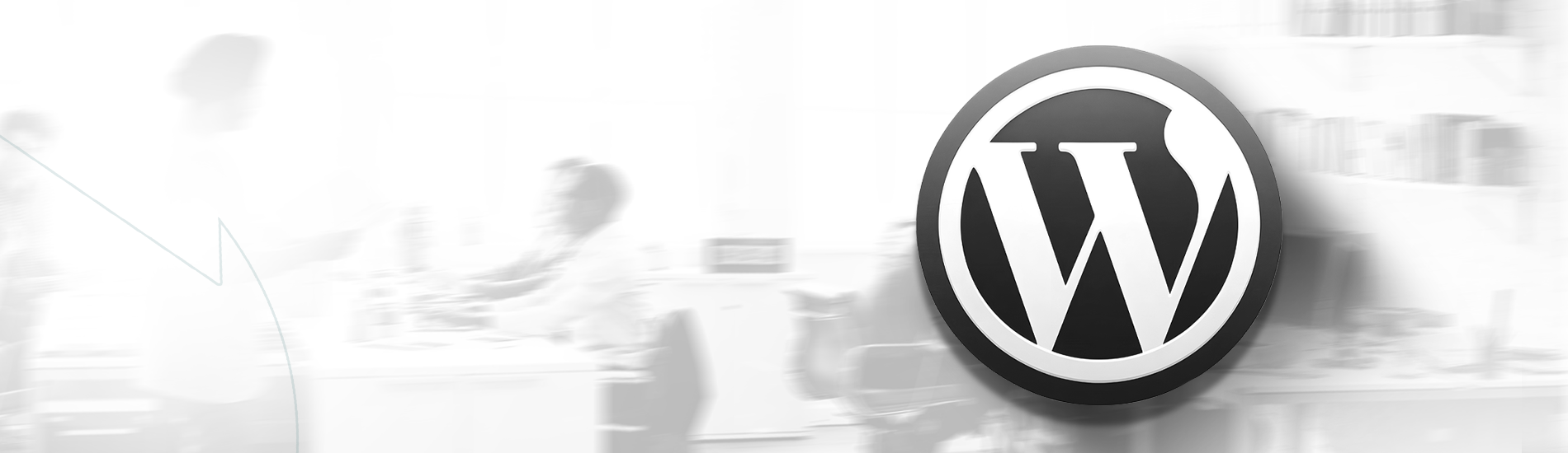 Sr. WordPress Expert