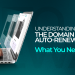 Domain-Autorenewal-Issue