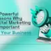 15 Powerful Reasons Why Digital Marketing Is Important for Your Business – Techabyte infographic.