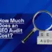 Techabyte guide banner asking “How Much Does an SEO Audit Cost?” with laptop and magnifying glass over SEO dashboard.