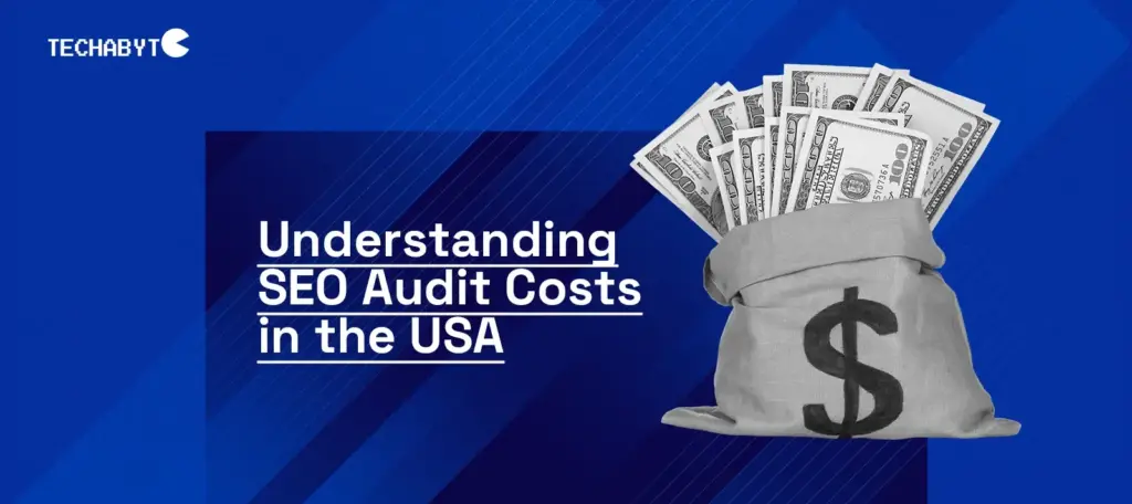 Money bag illustration showing SEO audit costs in the USA by Techabyte