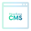 Headless CMS Web Development